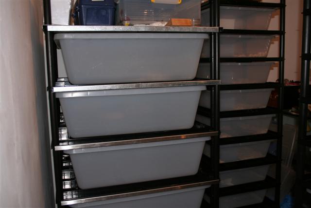 IMG_0038 (Small).JPG