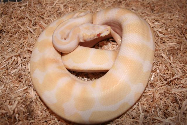 IMG_0044 (Small).JPG