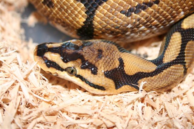 IMG_0052 (Small).JPG