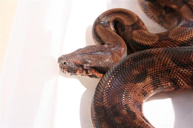 IMG_0074 (Small).JPG