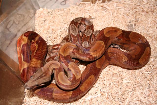 IMG_0101 (Small).JPG