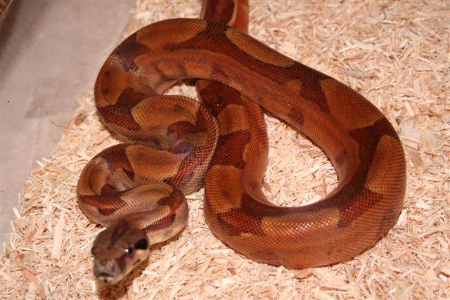 IMG_0108 (Small).JPG