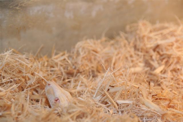 IMG_0153 (Small).JPG