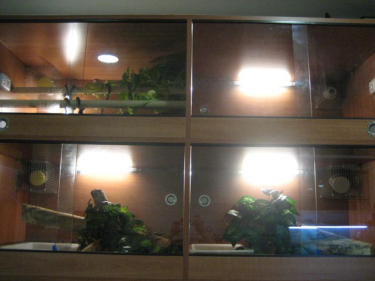 IMG_0191 - copia.JPG