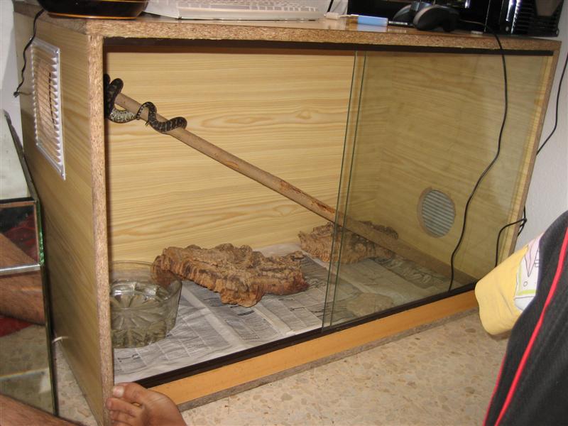 IMG_0204 (Medium).JPG