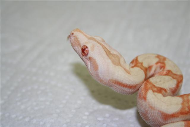 IMG_0377 (Small).JPG