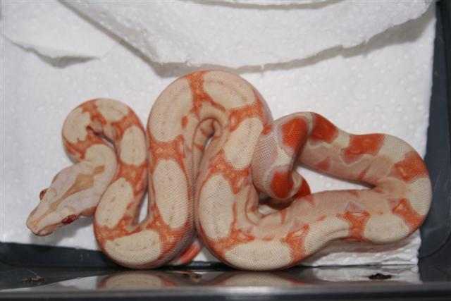 IMG_0380 (Small).JPG