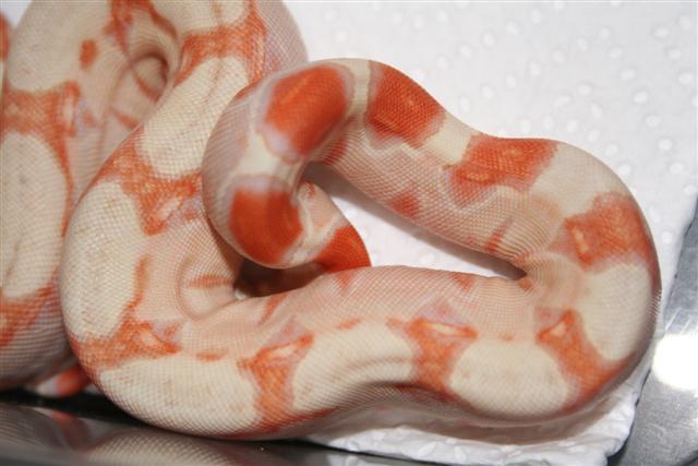 IMG_0381 (Small).JPG