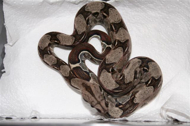 IMG_0383 (Small).JPG