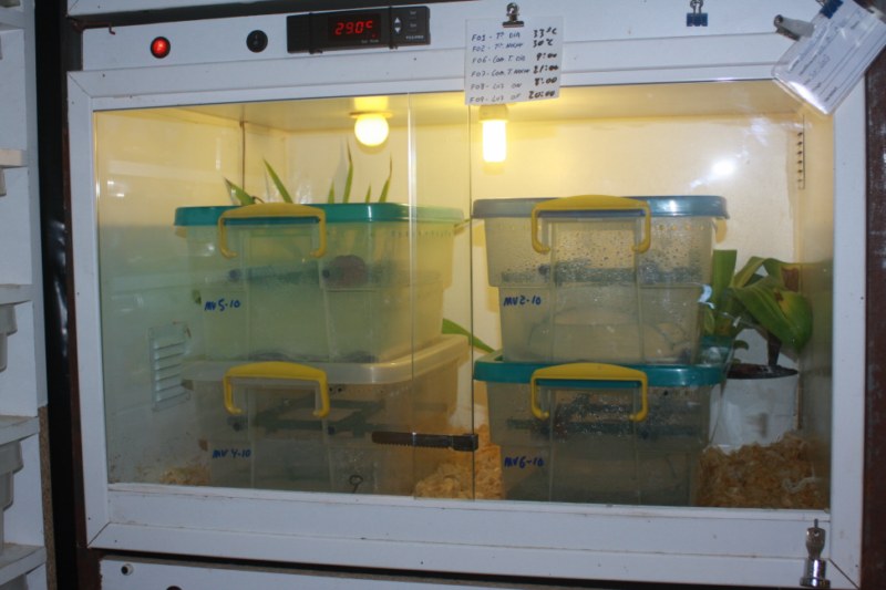 IMG_0440 [800x600].jpg