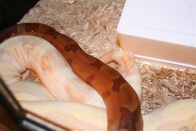 IMG_0453 (Small).JPG