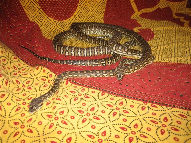 IMG_0468 (Small).jpg