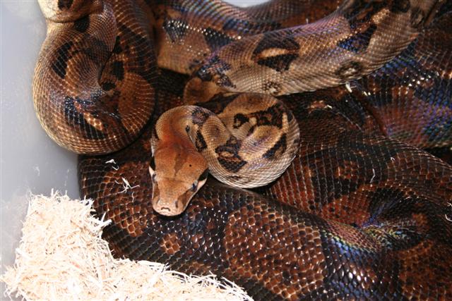 IMG_0714 (Small).JPG