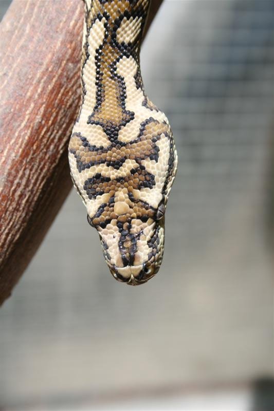 IMG_0840 (6) (Medium).jpg