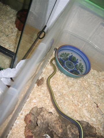 IMG_1077 (Small).jpg