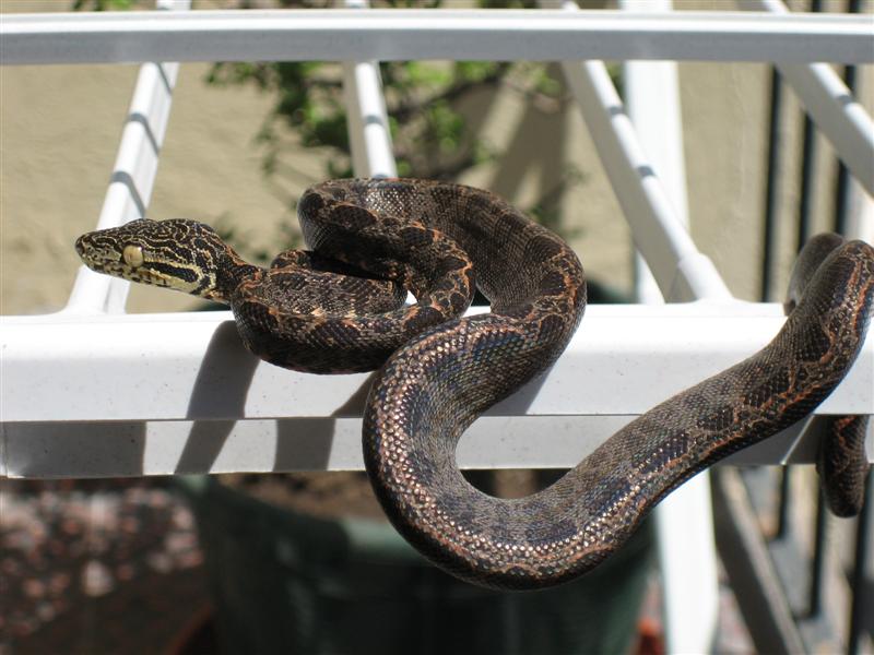 IMG_1086 (Medium).JPG