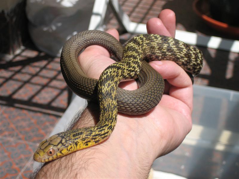 IMG_1095 (Medium).JPG