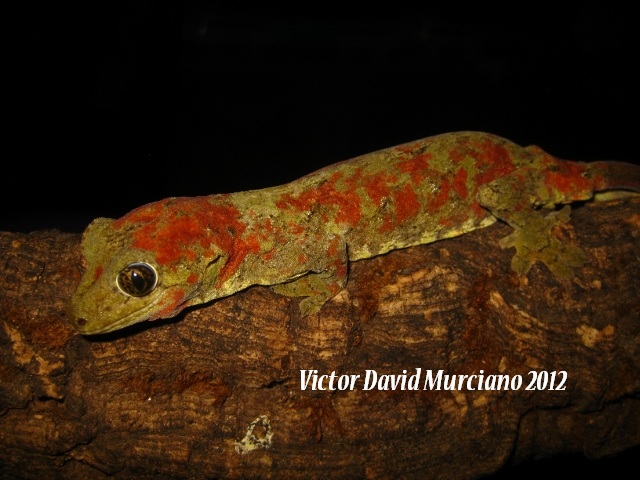 IMG_1569 (640x480).jpg