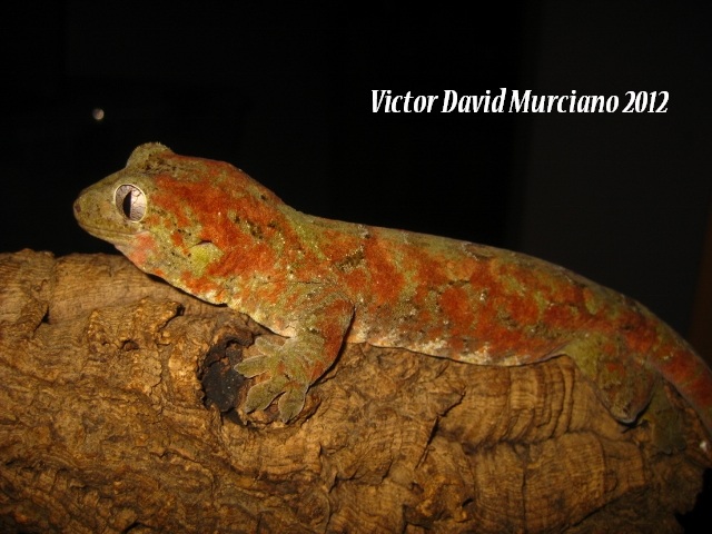 IMG_1581 (640x480).jpg