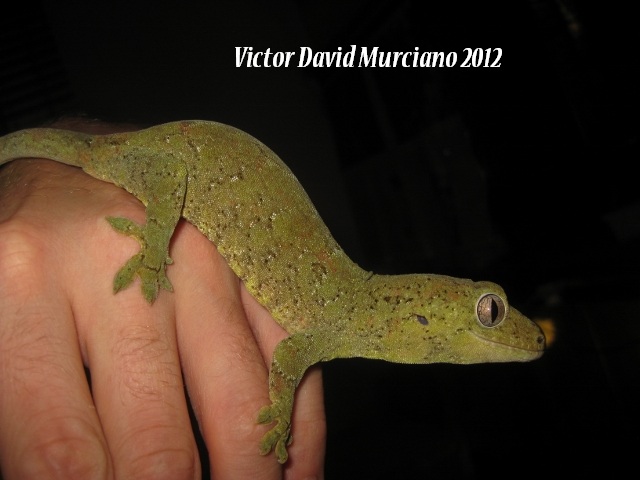 IMG_1599 (640x480).jpg