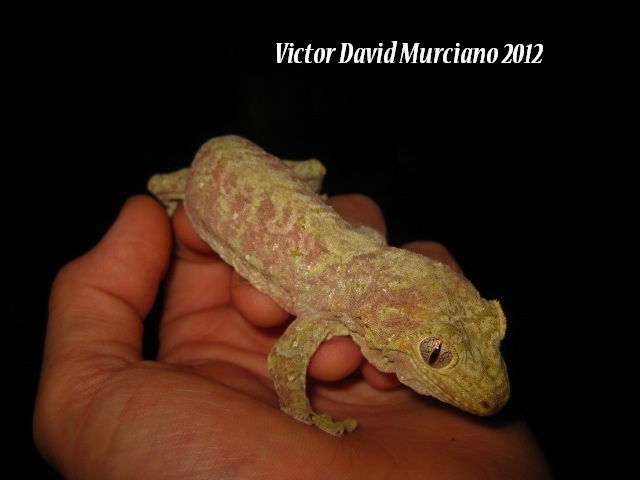 IMG_1613 (640x480).jpg