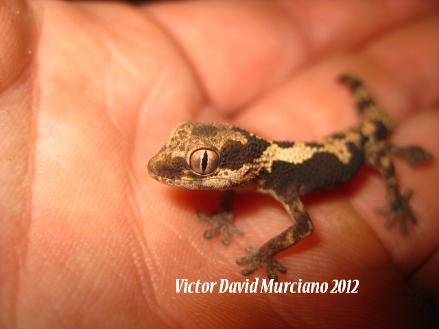 IMG_1657 (640x480).jpg