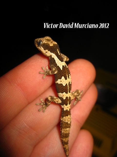 IMG_1663 (640x480).jpg