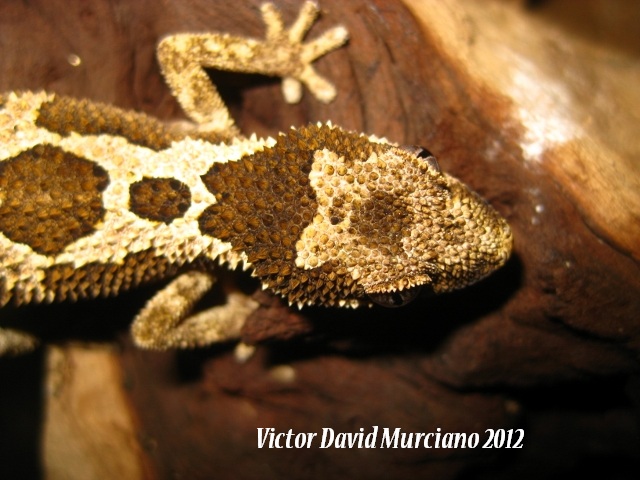 IMG_1700 (640x480).jpg