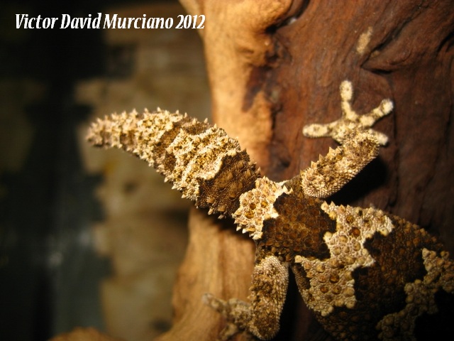 IMG_1701 (640x480).jpg