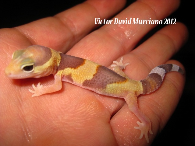 IMG_1721 (640x480).jpg