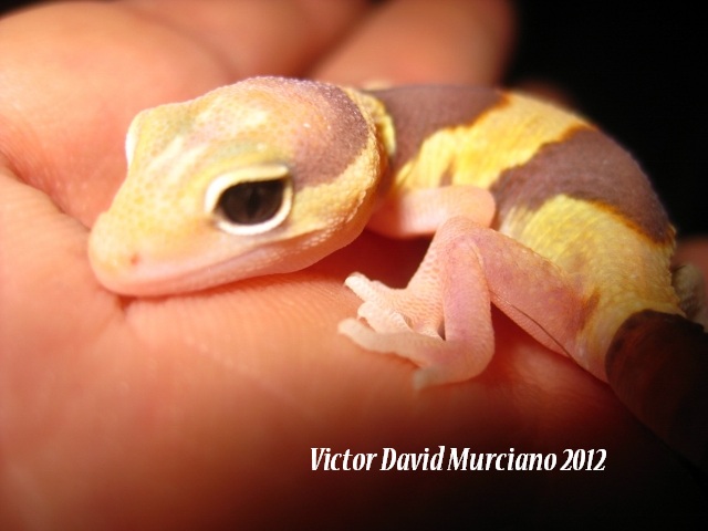 IMG_1724 (640x480).jpg