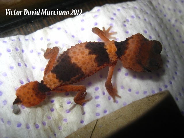 IMG_1802 (640x480).jpg