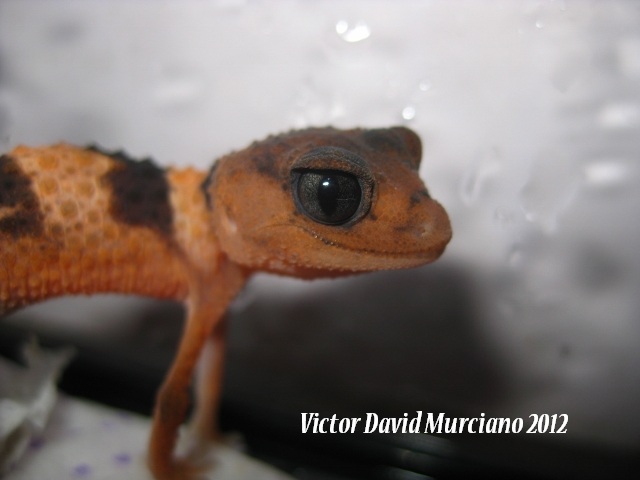 IMG_1804 (640x480).jpg