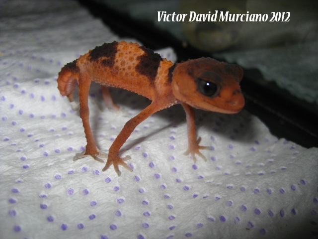 IMG_1807 (640x480).jpg