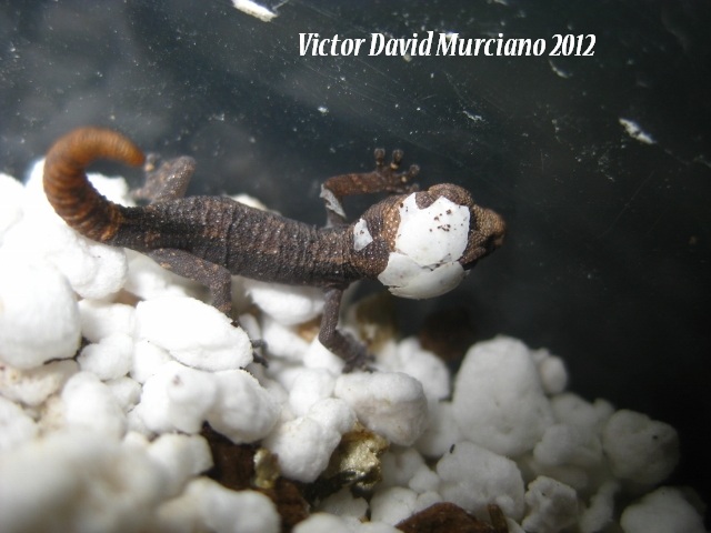 IMG_1839 (640x480).jpg