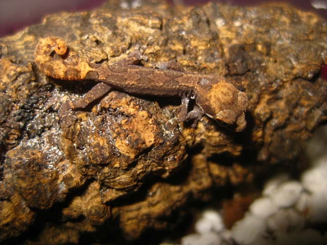 IMG_1852 (640x480).jpg