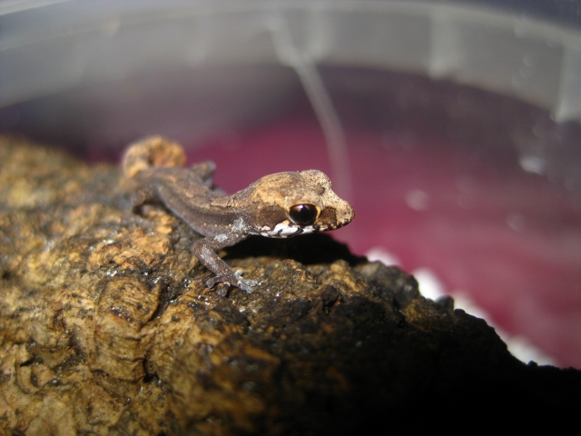 IMG_1853 (640x480).jpg