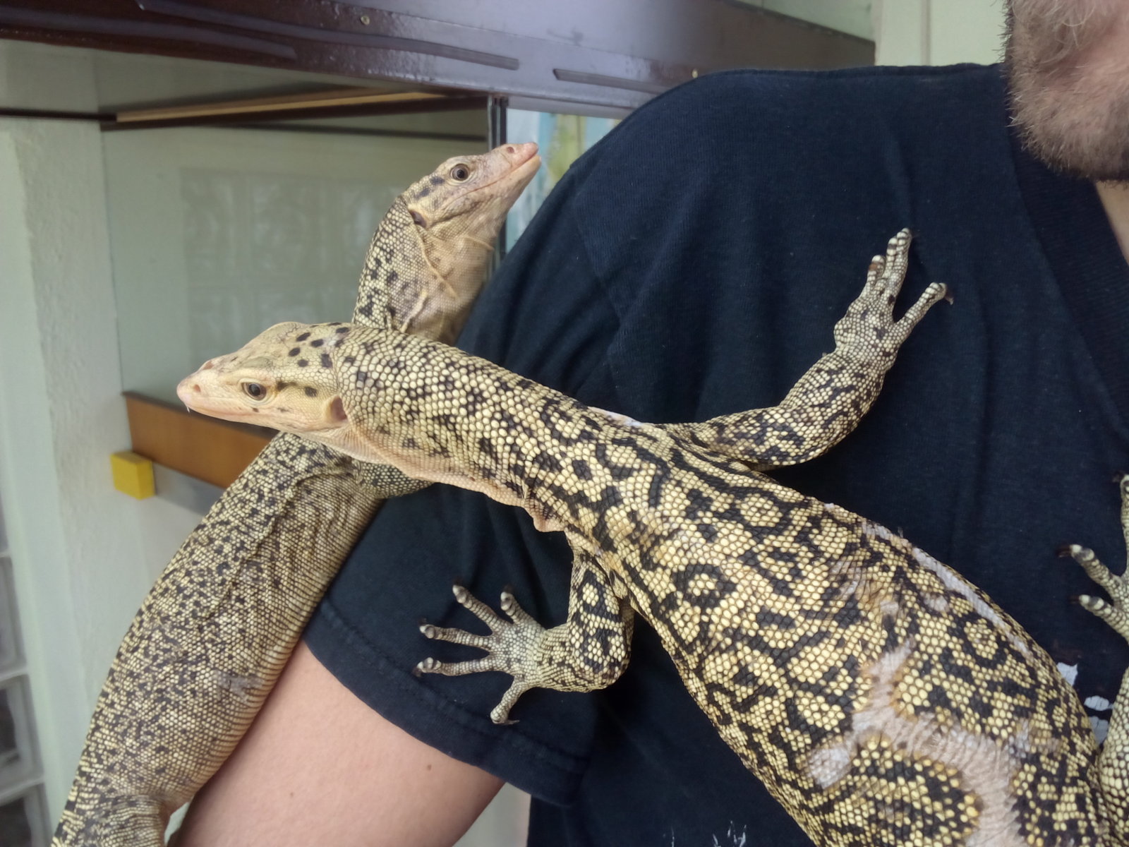 IMG_20150412_141814[1]