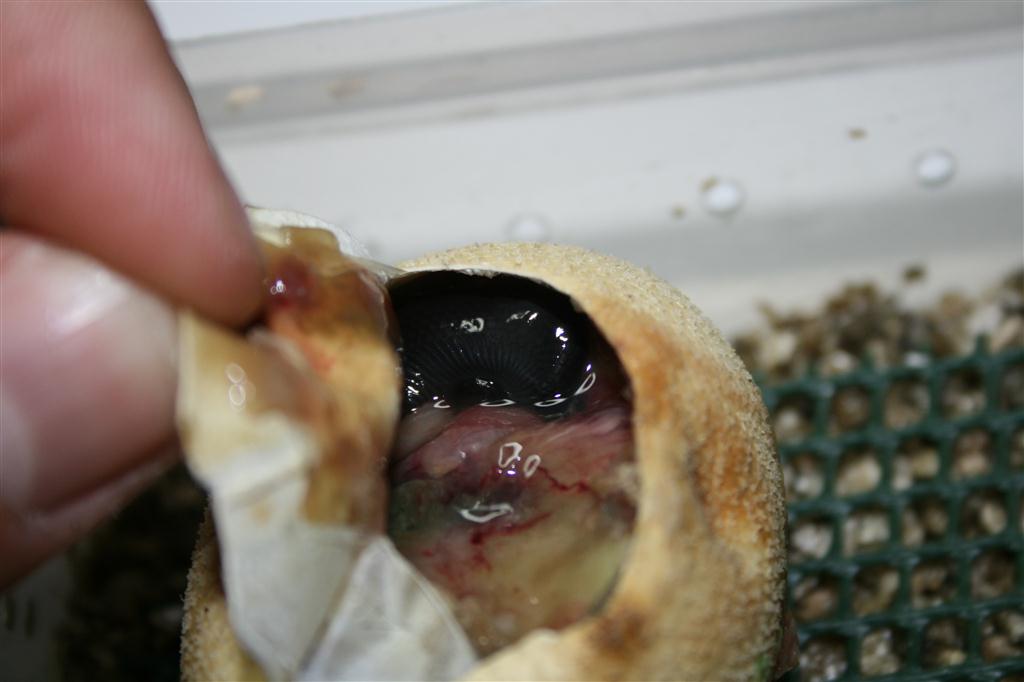 IMG_3253 (Large).JPG