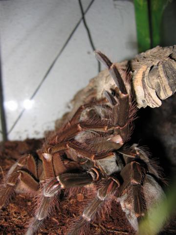 IMG_3752 (Small).JPG