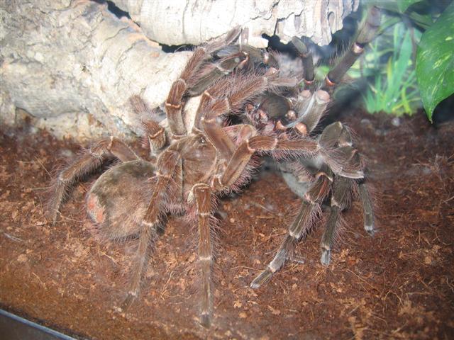 IMG_3754 (Small).JPG