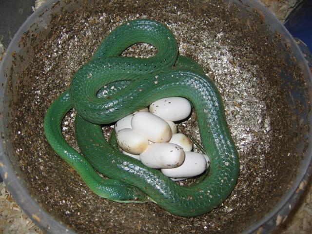 IMG_4444 (Small).JPG