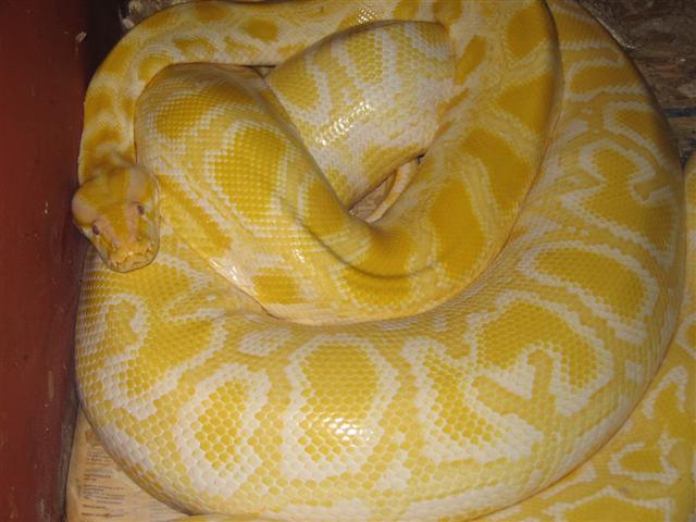 IMG_5579 (Small).JPG