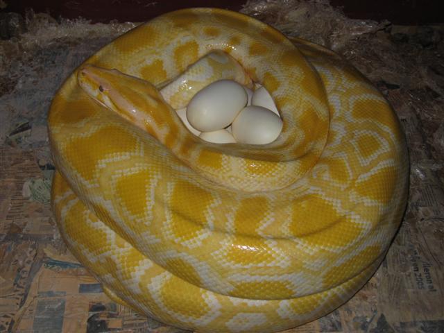 IMG_5588 (Small).JPG