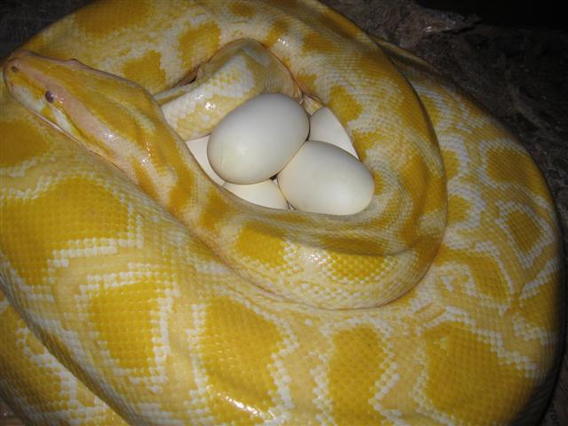 IMG_5598 (Small).JPG