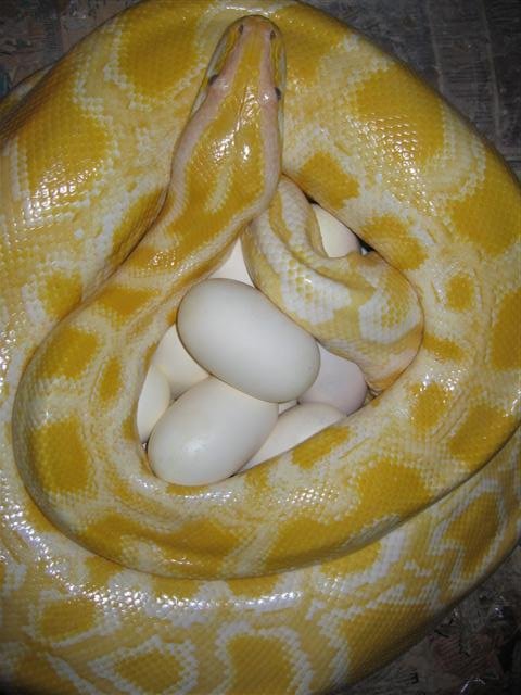 IMG_5599 (Small).JPG