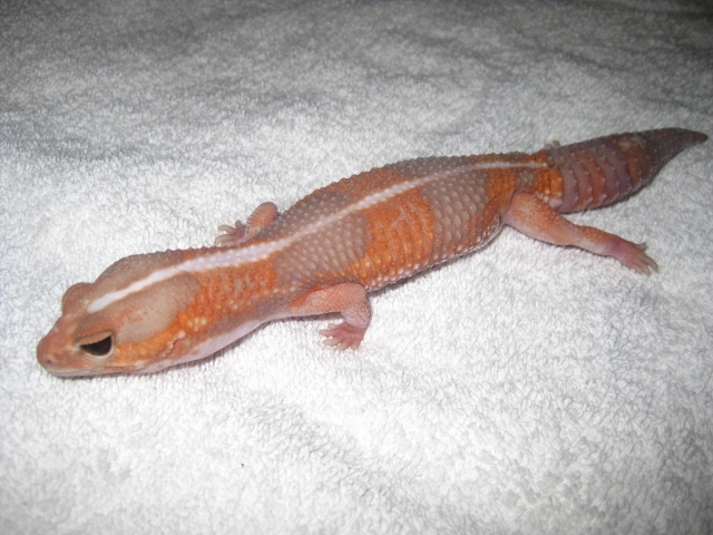 IMG_5846 (640x480).jpg