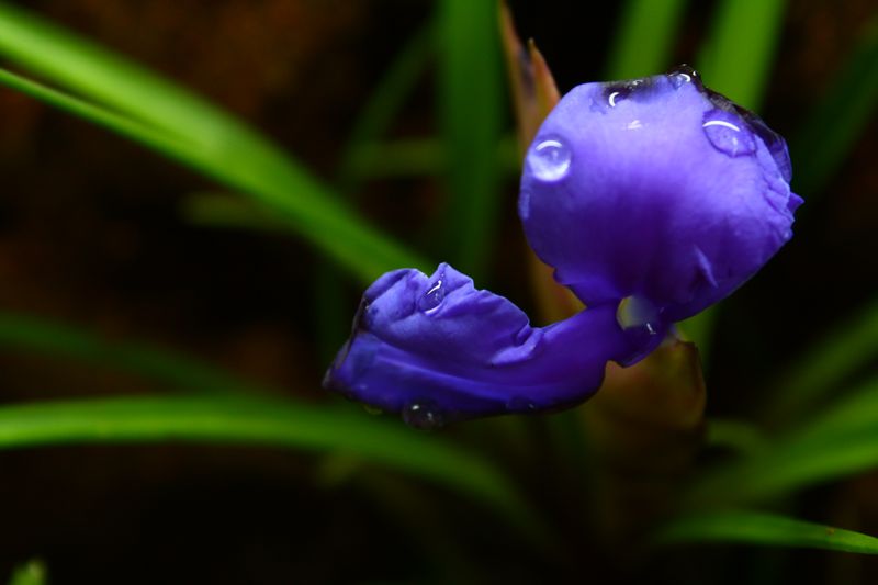 IMG_6014 [800x600].JPG