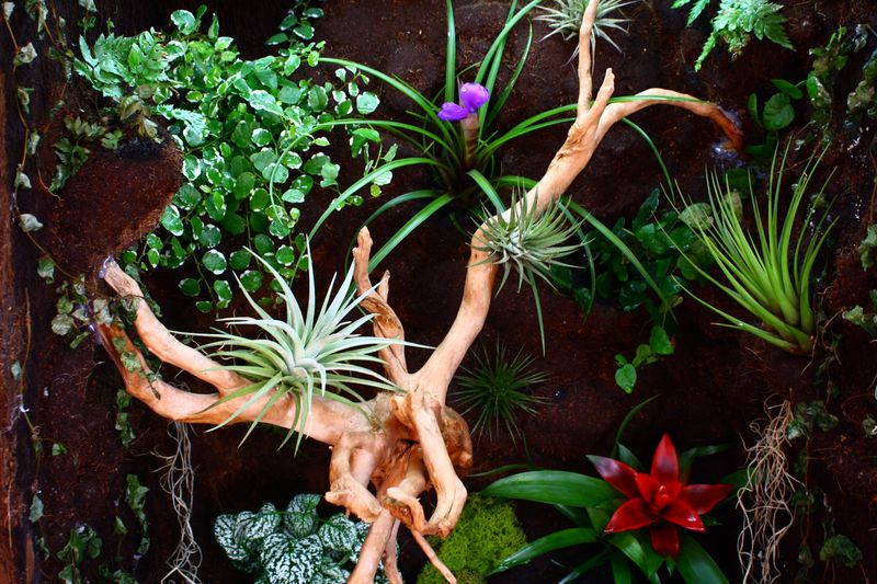 IMG_6016 [800x600].JPG