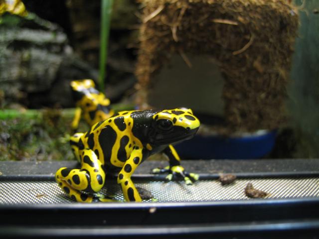 IMG_6809 (Small).JPG